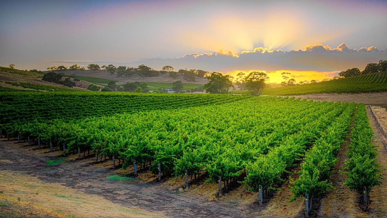 Triple Creek Guest House - Barossa Region 赛特菲尔德 外观 照片