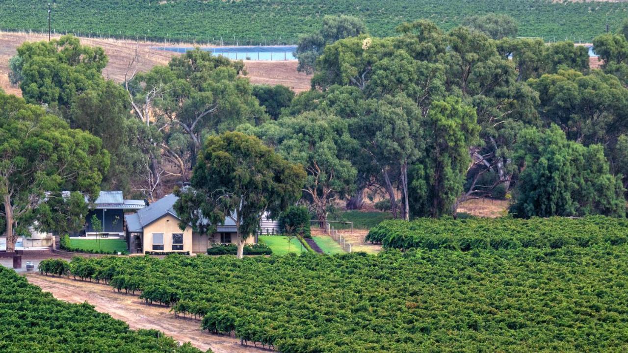 Triple Creek Guest House - Barossa Region 赛特菲尔德 外观 照片